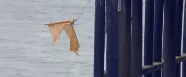 Grntlerin kurgu olduu aka belli olsa da grntler internette en ok paylalanlar arasnda yer ald...