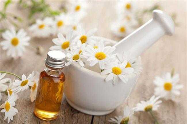 Papatya Ya    <br>Ar kesici ve hassasiyeti giderici etkisi ile bilinir. Ufak yaralanmalarda ve gne yanklarnda cilde masaj yaplarak kullanlabilir.