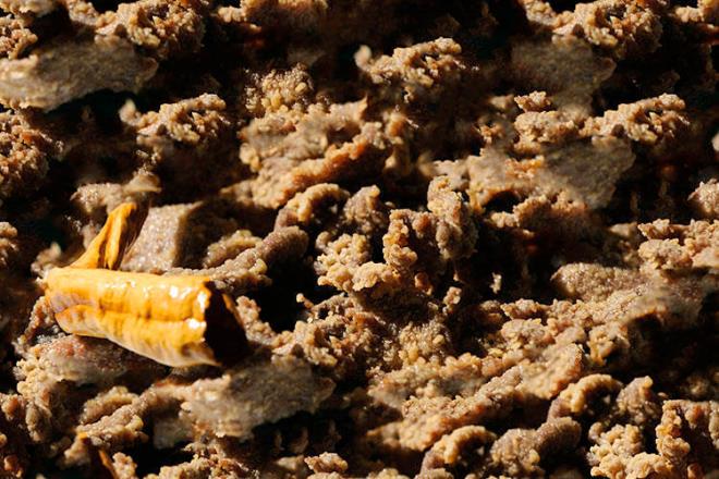 Tava Cieri<p>  Edirne blgesinde &#8220;yaprak cieri&#8221; olarak da bilinen tava cierinin en nemli zellii yrede yetitirilmi olan byk ba hayvanlardan elde edilen karacier kullanlarak retilmesidir.