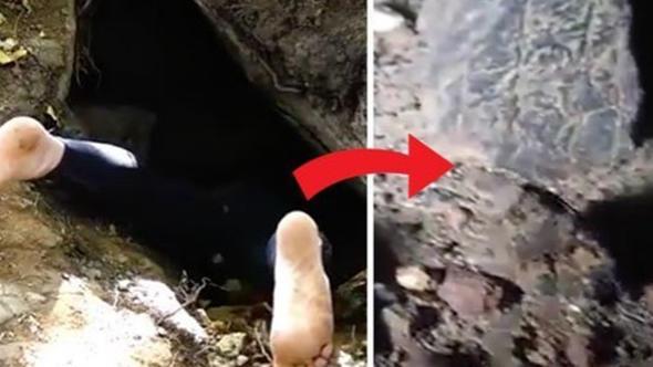 Maarann derinliini merak eden kaif ieri girmeye karar verdi.