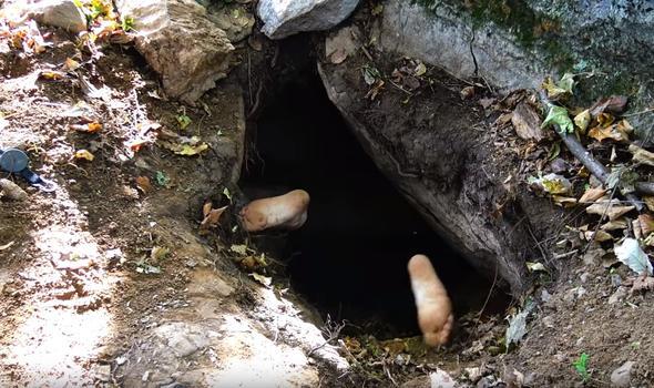 eri giren kaif grd manzara karsnda aknln gizleyemedi.