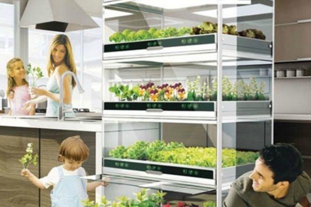 Akll bahe  <br>    Evinizde salkl sebzeler yetitimek istiyorsanz kendini sulayan bu dolab satn alabilirsiniz.