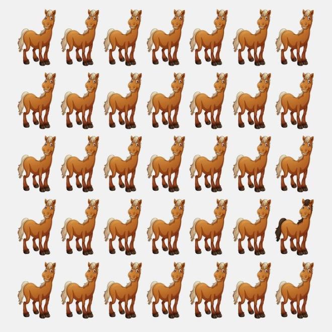 Hangi at dierleri gib deil?