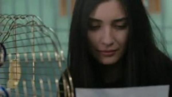 Getiimiz gnlerde Star TV ekranlarnda yaynlanan "20 Dakika" dizisinde bu kadarna da pes dedirtecek bir hata grenleri hayrete drd.