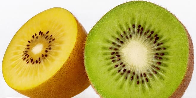 - Tansiyonu ve kandaki kolesterol orann drr.    - Karacieri altrr ve kan temizler.