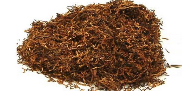 Bu da beyninizin yava yava lmesine yol aar.