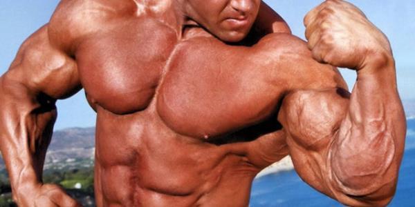 Proteinler kas yapcdr.