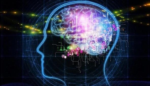 Doru mu yanl m?    Beyin grntleme tekniklerindeki gelimeler gsteriyor ki, beynimizdeki tm sinirler eitli eylemler srasnda kullanlyor.