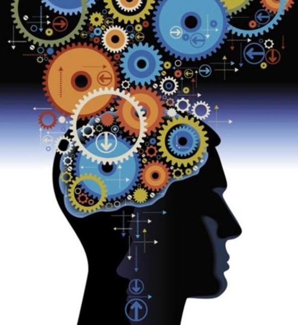 Doru mu yanl m?    nsanlar beyinlerinin sadece %10'unu kullanrlar.