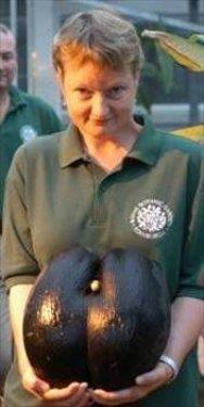 Dnya'nn en byk tohumu.