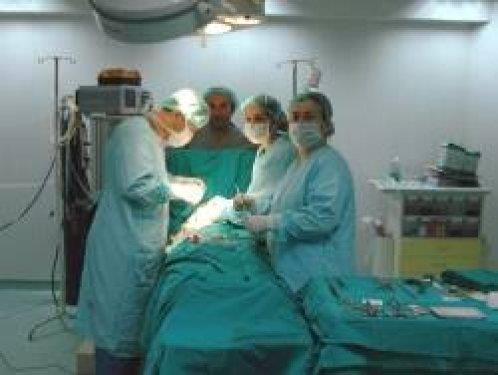 Kars'ta 'can skld' iin salarn yiyen bir kadnn midesinde biriken 1.5 kilogram arlnda sa kl, ameliyatla karld.