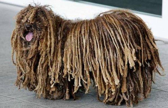 TPK BR SR KORUMA KPE