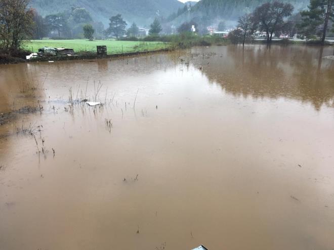 Takn yaanan blgede tente ve bahe mobilyalar satan iletmesi bulunan Mehmet Demir (38), "Dkkann arkasndaki derede slah almas yetersiz kald iin ve derenin solundaki kpr tkand iin mahallemizde su baskn oldu. Bu her yl yaanyor. Acilen derenin slah edilmesi ve yeni menfezler yaplmas gerekiyor. 4 milyon lira zararmz var" dedi.