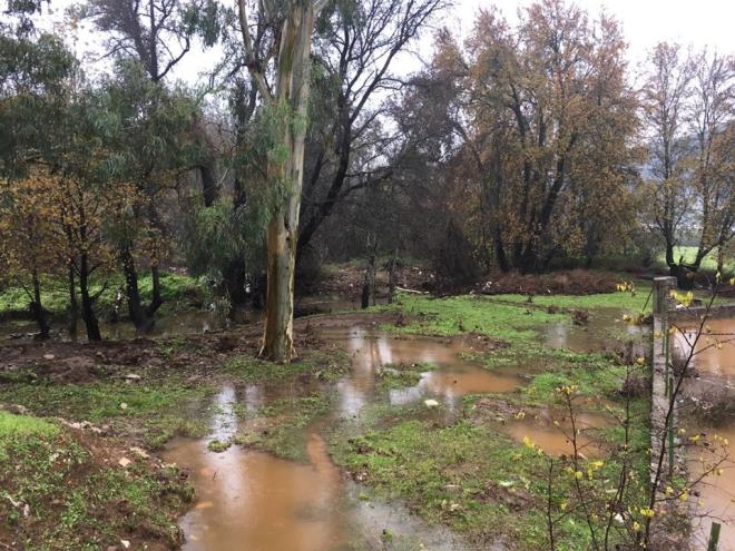 Deirmenyan mevkiindeki 4 iyeri ve evredeki 4 evde su baskn yaand.