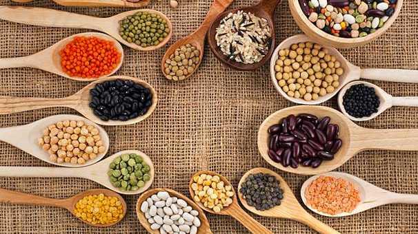 KURUBAKLAGLLER<p>      Bitkisel protein kaynaklar nohut, fasulye, mercimek, brlce gibi kurubaklagiller tokluk salamada gl birer diyet silahlardr. Posa ve proteinden zengin kaynaklardr.