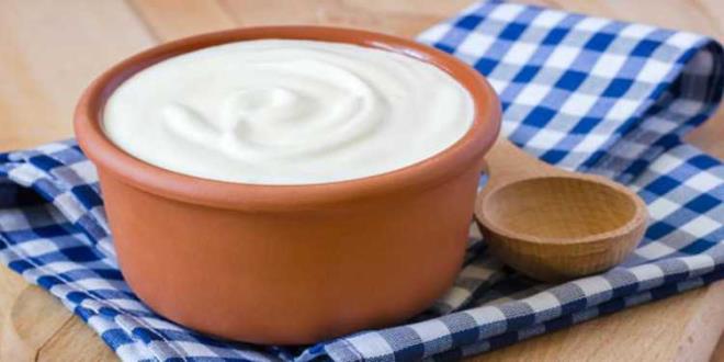 YOURT<p>      yi bir protein kayna olan yourt ayn zamanda ierisinde bulunan CLA 'konjuge linoleik asit' sayesinde karn evresi yalanmasn azaltmaya ve uzun sre tok kalmaya yardmc oluyor.