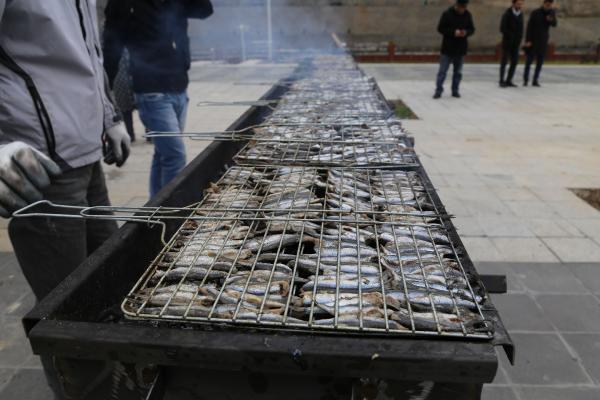 ARTVN oruh niversitesi'nde dzenlenen hamsi enlii iin Rektr Prof. Dr. Fahrettin Tilki, kamps alanna 2 kamyon dolusu kar getirtti.  ARTVN oruh niversitesi'nde dzenlenen hamsi enlii renkli grntlere sahne oldu. Barajlar nedeniyle karasal iklim yerine Akdeniz ikliminin hakim olduu kentte kar yamaynca, Rektr Prof. Dr. Fahrettin Tilki, kamps alanna 2 kamyon dolusu kar getirtti. Byk srpriz yaayan renciler ve retim grevlileri kar topu oynayarak elendi.
