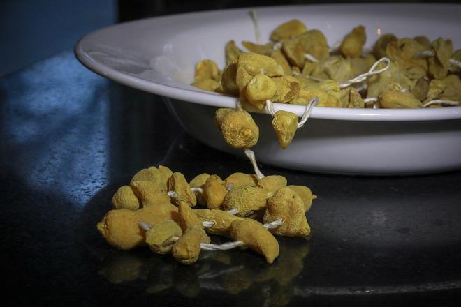 Dalk ve ayrlk alanlarda, 1000-1500 metre yksekliklerde yabani olarak yetien ve endemik bir tr olan Anadolu orkidesinin yumrular, iin uzmanlarnca toplanyor. Mor ve krmz renkte baak formatndaki bitkinin bir yumrusu kendisine beslenmesi iin braklrken dier yumru stte veya suda kaynatlp kurutulduktan sonra salep olarak satlyor.    nsan eliyle yetitirilemeyecek formatta olan bitkinin yumrularndan elde edilen salep ise, vcut scakln artrmas ve ho kokusu ile souk k gnlerinde tercih edilirken ksrk, bronlar ama gibi zellikleri nedeniyle de ifa olarak grlyor.    Salebi hem kn iecek olarak hem de yazlar dondurmada kullanarak 93 yldr tketiciye sunan tarihi Zeynel Muhallebicisi, eskilerin damak tadn halen yaatmaya alyor.  Salep, st bazl kaymak, ikolata, karamel, fstk, ceviz ve sakzl dondurmalarda kullanlrken, souk havalarda da iecek olarak tarnl ikram ediliyor. Bu scak damak tadn evinde misafirleriyle paylamak isteyenler iin de darya sat yaplyor.