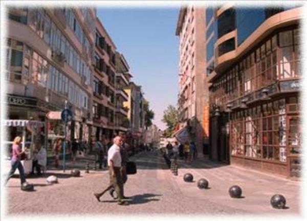 Buraya kkler yaptrlm. Baharda yelenen bir blge olduu iinde "baharlk" anlamna "bahara ait" yani "bahariyye" diye anlm.