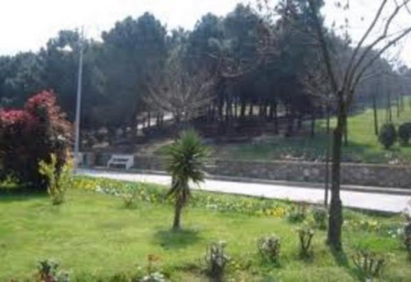 DEMRKAPI  stanbul da bu isimde birka semt vardr,bunlardan biri de Sarayburnundadr. Topkap saraynn yksek duvarlarndaki drt byk kapdan birinin bulunduu semt byk demir kapdan dolay Demirkap ismini almtr. Bu kapdan sarayn has ahrlarna geilirdi.