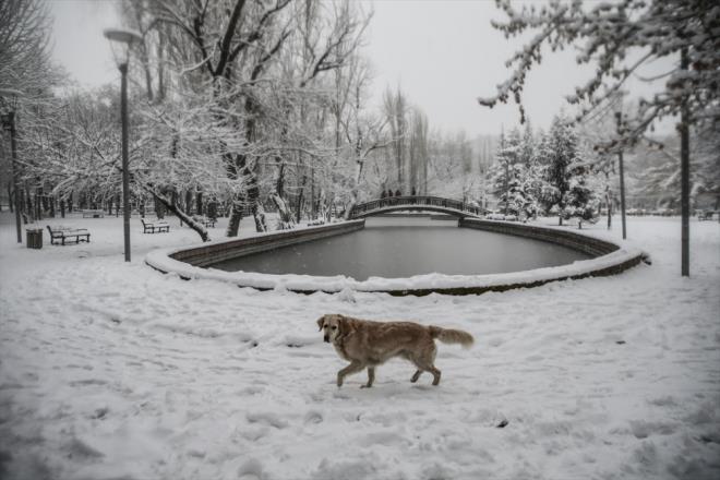 Bolu Valisi Ahmet �mit, kente etkili olan kar ya���� nedeniyle okullarda e�itime bir g�n (7 Ocak 2019) ara verildi�ini duyurdu.