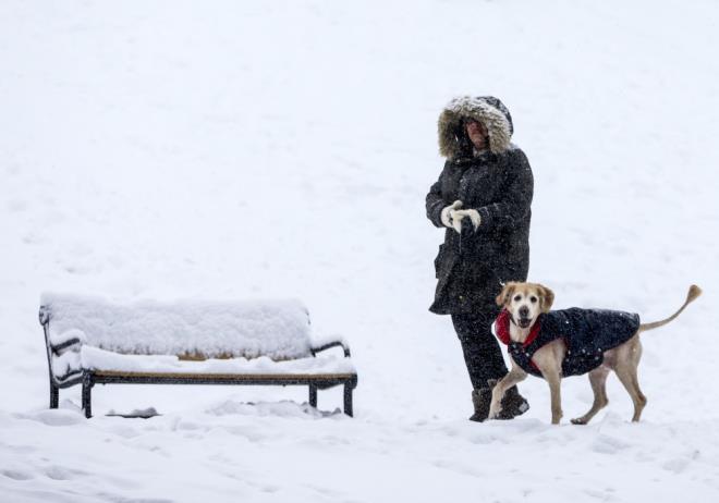 Kahramanmara�'�n And�r�n il�esinde yo�un kar ya���� nedeniyle 6 okulda ta��mal� e�itime bir g�n ara verildi(7 Ocak 2019).<br>    And�r�n il�e Milli E�itim M�d�rl���nden yap�lan yaz�l� a��klamada, il�enin kuzeyinde bulunan mahallelerdeki Akifiye, R�fatiye ve Alt�nyayla Ortaokulu ile Geben ilkokulu, ortaokulu ve lisesinde ta��mal� e�itime, yo�un kar ya���� ve buzlanma riski nedeniyle bir g�n ara verildi�i belirtildi.