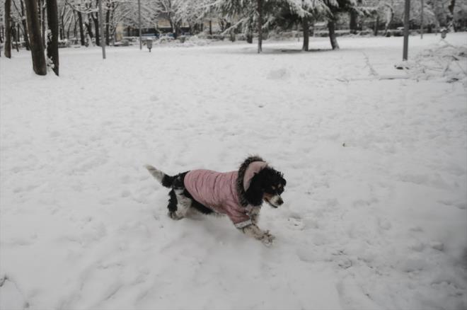 "Ankara'da e�itim-��retim faaliyetlerine yar�n ara verilmesinin hen�z s�z konusu olmad���" kaydedildi.