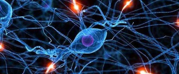 7. H�creler zombiye d�n���yor  Bir h�cre a��r� hasar g�r�nce, di�er hasarl� h�crelerin �remesini �nleyen bir ara� olma �zelli�ini kaybediyor. B�l�nmeye devam ediyor, ancak �lm�yor.