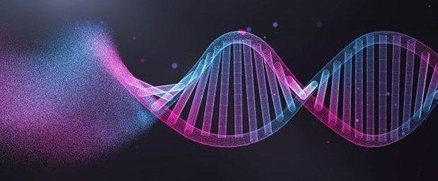 1. DNA'daki hasar birikiyor  DNA’m�z h�creler aras�nda iletilen genetik kodumuz. Ya�lanmayla birlikte iletim s�recindeki hatalar art�yor. Ve bu hatalar h�crelerde birikiyor. Genetik istikrars�zl�k, k�k h�crelere zarar verebiliyor. Hatalar biriktik�e, kanserli h�crelere bile d�n��ebiliyor.