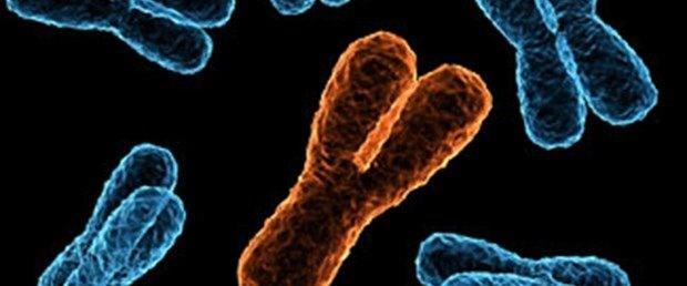 2. Kromozomlar y�pran�yor  DNA zincirlerimizin ucunda kromozomlar�m�z� koruyan kapak gibi yap�lar var. T�pk�, ayakkab� ba��n�n ucundaki plastik koruyucular gibi.   Bunlara telomer deniyor. Ya�land�k�a bunlar y�pran�yor ve kromozomlar korumalar�n� kaybediyor. Bu da yanl�� bir �ekilde kopyalanmalar� anlam�na geliyor ve sorunlara yol a�abiliyor.