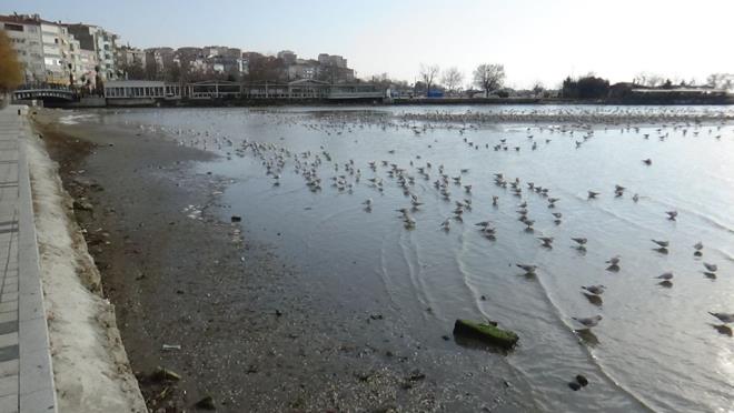 Ayrca denizin ekilmesiyle deniz analar ve pler ortaya kt.