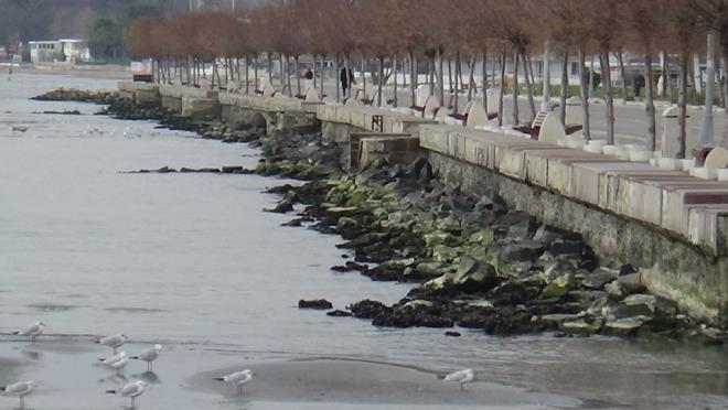 stanbul Silivri'de deniz yaklak 50 metre ekildi.