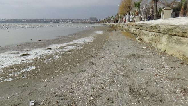 Suyun ekildii yerlerde kk adacklar ortaya kt. Kordon boyunda yry yapan vatandalar, deniz suyunun ekilmesini cep telefonlaryla grntledi.