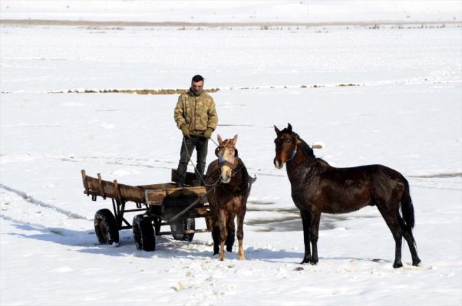 K aylarnda ise burada mandalar ve atlar kalyor.