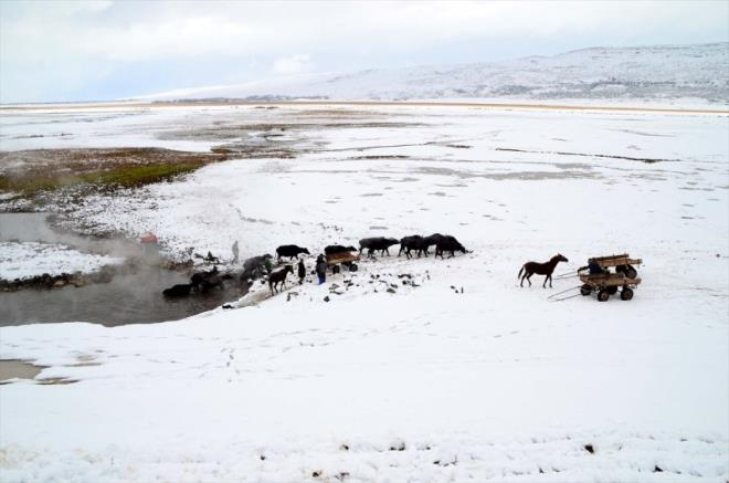 At ve mandalarn srtna karak takla atan genler, dondurucu soukta kaplcada yzmenin de keyfini yayor.