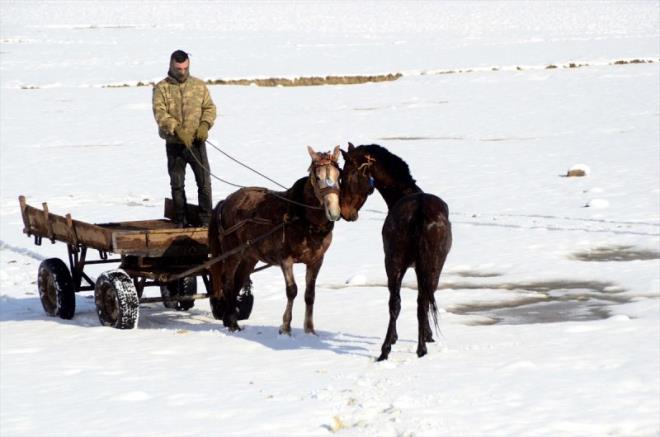 Fotoraf tutkunlar dzenledikleri turlarla, sfrn altna den hava scaklnda manda ve atlarla beraber, doal kaplcaya girenleri grntlemek iin blgeye geliyor.