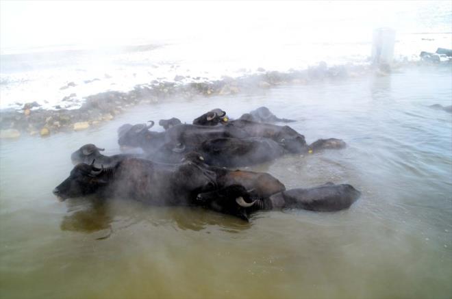 Budakl Ky'ndeki doal kaplcalar, k aylarnda fotoraflarn da ilgisini ekiyor.