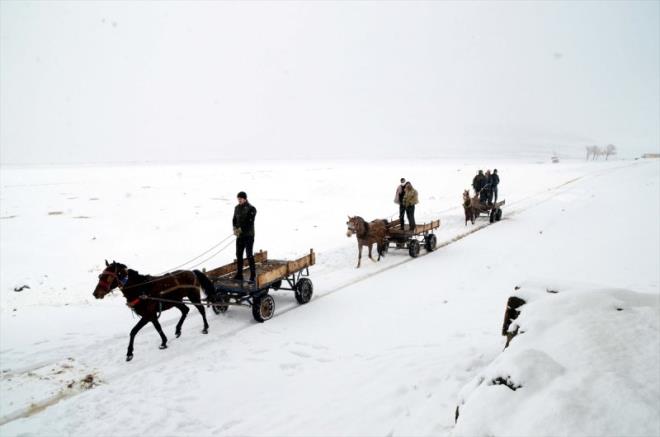 Bitlis'in Groymak ilesine bal Budakl kynde ise genler, ahrlarda kirlenen hayvanlarn kaplca suyunda ykyor.