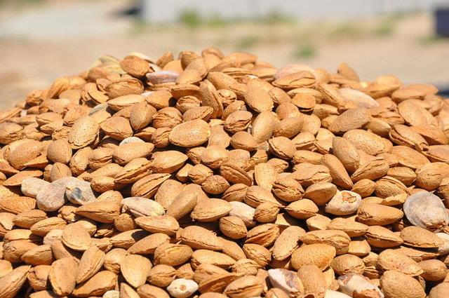 Dengesiz kolesteroln oluturduu hastalklar oluturan kolesteroln dzenlenmesi hastalklara yakalanma olasln olduka azaltr.