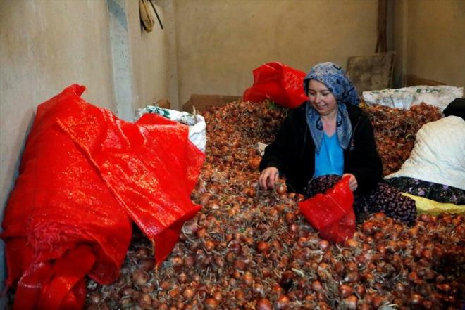 "15 yldr Tekirda'daym, burada ok mutluyum, traktr kullanyorum, tarlada alyorum, tarlam sryorum, soan ekiyorum, ilalama yapyorum. 15 yllk Ziraat Odas'na kaytlym. Ziraat Odas'nda iftilik belgelerim var. ok mutluyum, yaptm iten. u anda ekim aynda buday ekmitik, onlarla ilgileniyorum. Budaylarmz elli santimetre boyuna ulat. Nisan, mays aylarnda da ayiei ekimi yapyoruz. Allah nasip ederse haziran ay gibi de hasadn yapacaz.