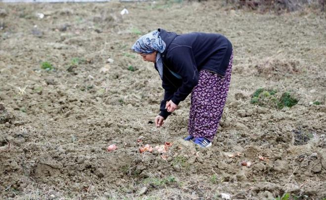 Aklama yapan Nevin Ync, stanbul'un karmaklaan atmosferinden "nefes aldm yer" diye tarif ettii Tekirda'a dnme kararn, stanbul'a gittii gnden beri dndn syledi. Kznn geleceini dnd iin dnmekte tereddt etmediini anlatan Ync, "Nianta'nda moda tasarm atlyem, butiim vard. Orada 10 yl kadar tasarmlar, modeller yaptm. Sonra Saadet isminde bir kzm dnyaya geldi. Ben kzmn ehirden uzak, daha doal bir yerde bymesini istedim." dedi.