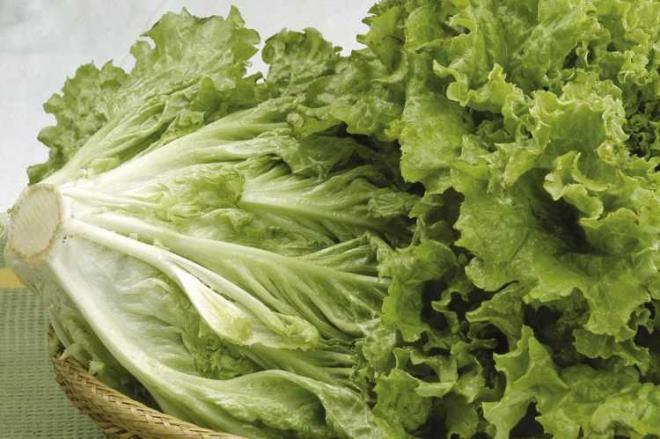 MARUL Yaplan aratrmalarda gnlk yedi yaprak tketilen marul vcudun ihtiyac olan A vitaminini salar. Ayrca marul gece tketildiinde etkisinin daha fazla olduu ortaya karlmtr. Vcudun gece hcreleri yeniledii srada A vitaminin yksek olmas daha salkl ve hzl bir yenilenmeyi destekler.