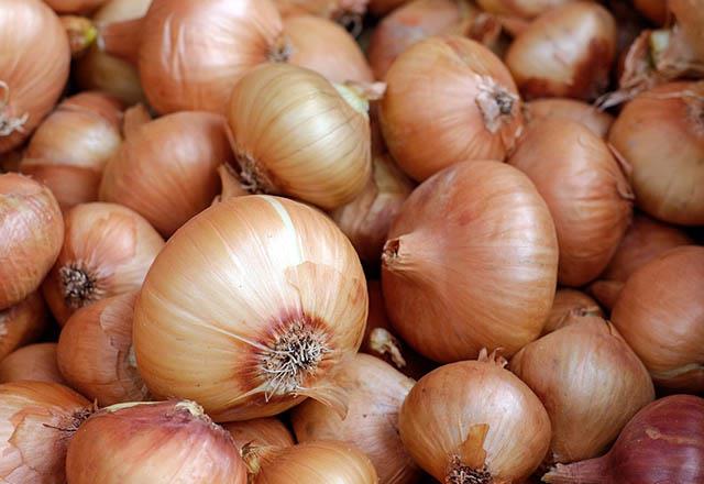 Soan suyu ve sarmsak <br>    erdii allisin ile birer doal antibiyotik olan soan ve sarmsak k aylarnn vazgeilmezidir. Soan ve sarmsak, vcuttaki smk dokusunun hava yollarndan atlmasn salayan slfr bileenleri ierir. Hem viral hem de bakteriyel enfeksiyonlarla savar. ki orta boy soann kabuklarn temizleyin  ve ikiye blm bir gn suda bekletin. Ertesi gn soan suyunu ierek boaz arnz ve ksrk ikayetinizi hafifletebilirsiniz.