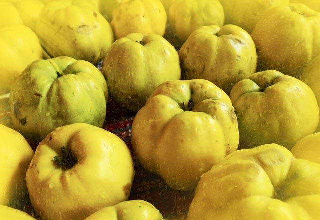 Ayva ve limon karm<br>    Bu iki sar besinin gcn birletirerek boaz enfeksiyonlarnn nne geebilirsiniz. Dilimlediiniz ayvann zerine limon skn ve 1 tatl ka kadar bal dkerek hafife ezin. Her sabah ya da akam tketebileceiniz bu karm; sizi boaz enfeksiyonlarna kar korur, baklk sisteminizi glendirir.