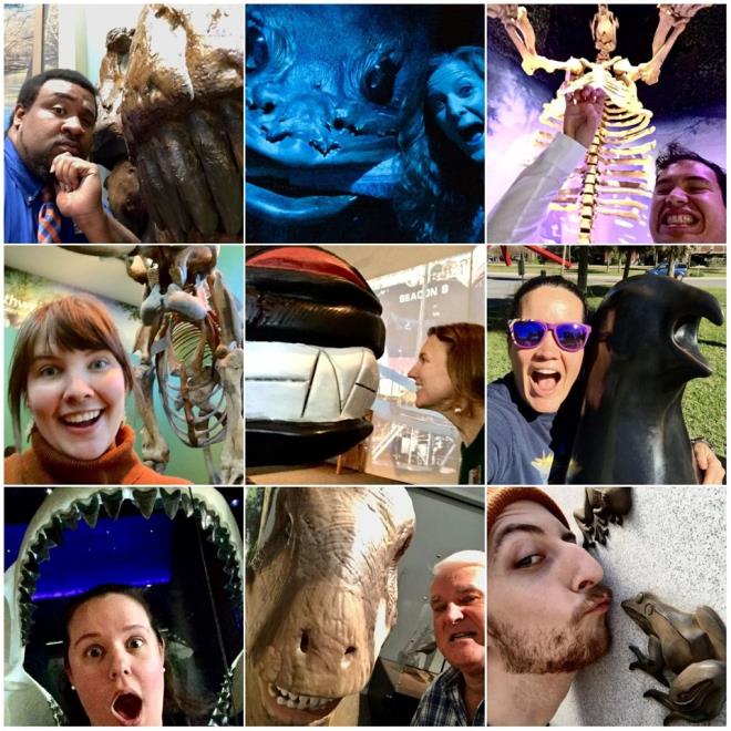 Florida Mzesi'de ziyaretilerinin ektii selfilerden bir derleme paylat.