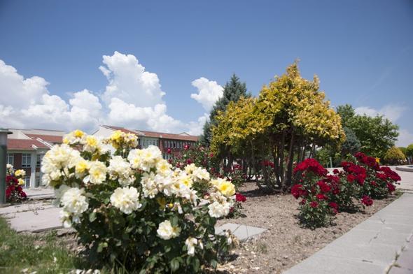 23- Anadolu �niversitesi    S�ras�: 127    Skoru: 23.5