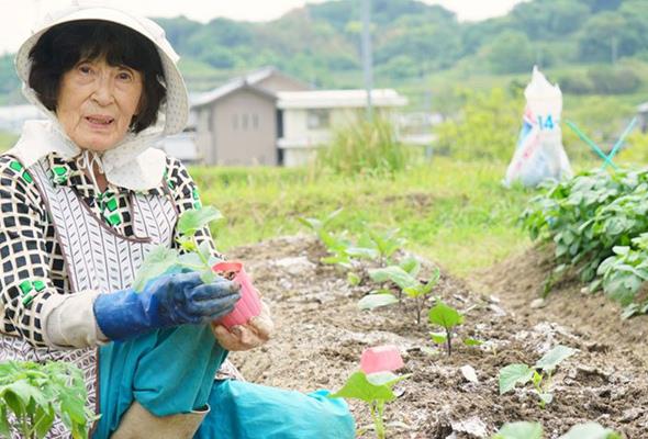 Japonya&#8217;da yal alan saysnn balca nedenleri arasnda lkenin kltr, gelenekleri ve uzun yaam sresi gsteriliyor.