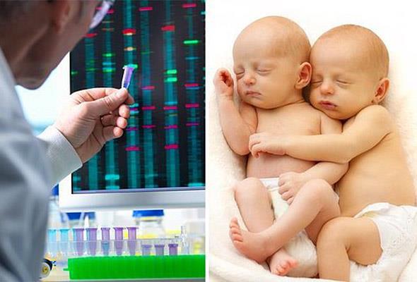 in Bilim ve Teknoloji Bakan Yardmcs u Nanping ise devlet televizyonu CCTV&#8217;ye yapt aklamada bakanln sz konusu ileme sert bir ekilde kar olduunu belirtmiti.