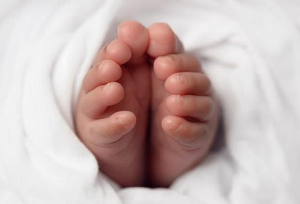 te yandan kasm aynda skandal deney ile ilgili aklama yapan He ise Gney Bilim ve Teknoloji niversitesi (SUSTech) kovulmutu. niversite aklamasn &#8220;SUSTech niversitesi u andan itibaren Dr. Jiankui He ile yrtt tm projeleri feshederken onun btn eitim ve aratrma faaliyetlerine son vermitir&#8221; diye duyurdu.