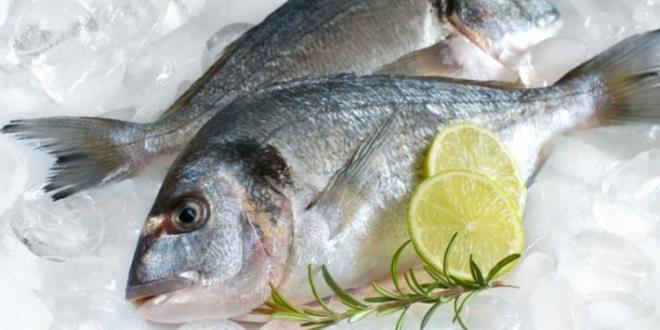 Lezzetinden bir �ey kaybettirmeyen bu dondurulmu� bal�klar�n ��z�lmesini bekleyip tekrardan dondurmak yap�lan en b�y�k hatalardan biridir. ��nk� bu hareket zararl� bakterilerin �o�almas�na yol a�ar. Bu nedenle dondurulmu� bal�k t�ketirken bu kritere dikkat etmek �nemli.